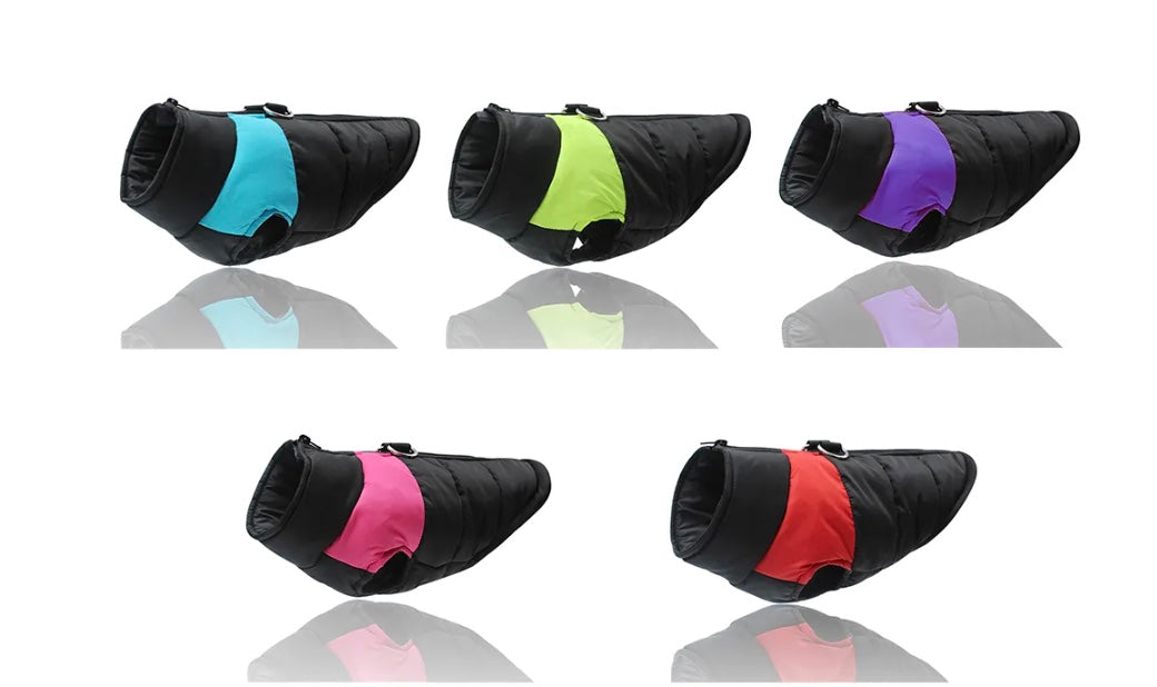 Basic Waterproof Colorblock Jacket (Final Sale)