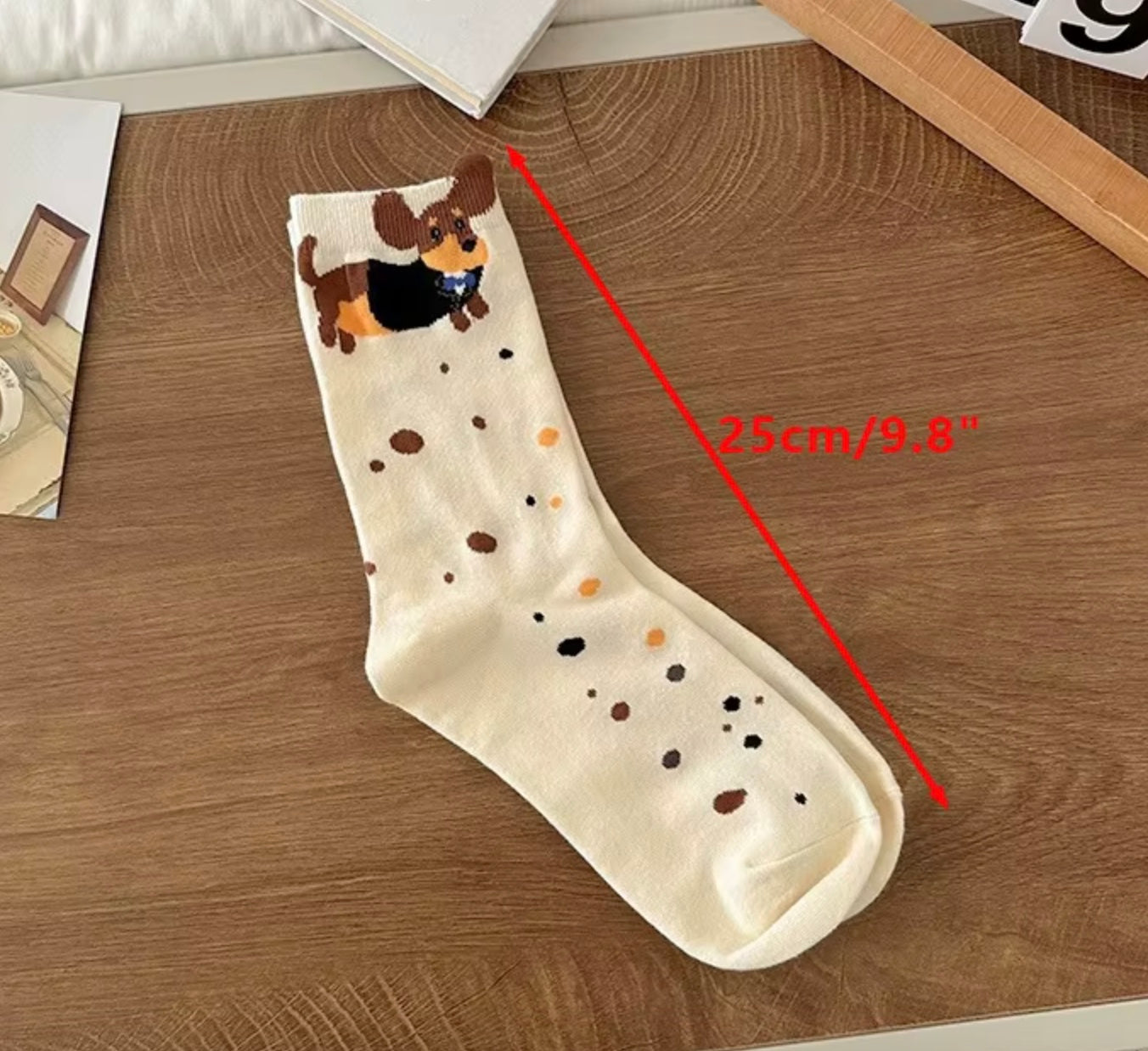Dachshund in Tuxedo Socks
