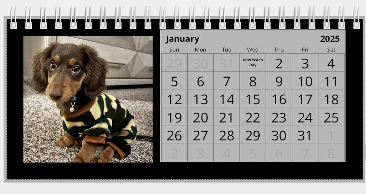 2025 Dachshunds in Pajamas Desk Calendar