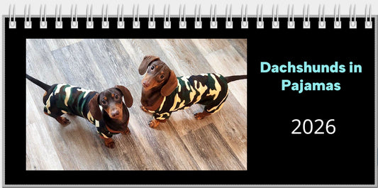 2026 Dachshunds in Pajamas Desk Calendar