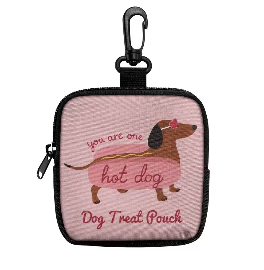 Dox On-the-Go Treat Pouch