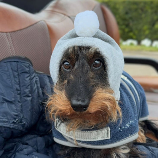 Heather Gray Pup Topper