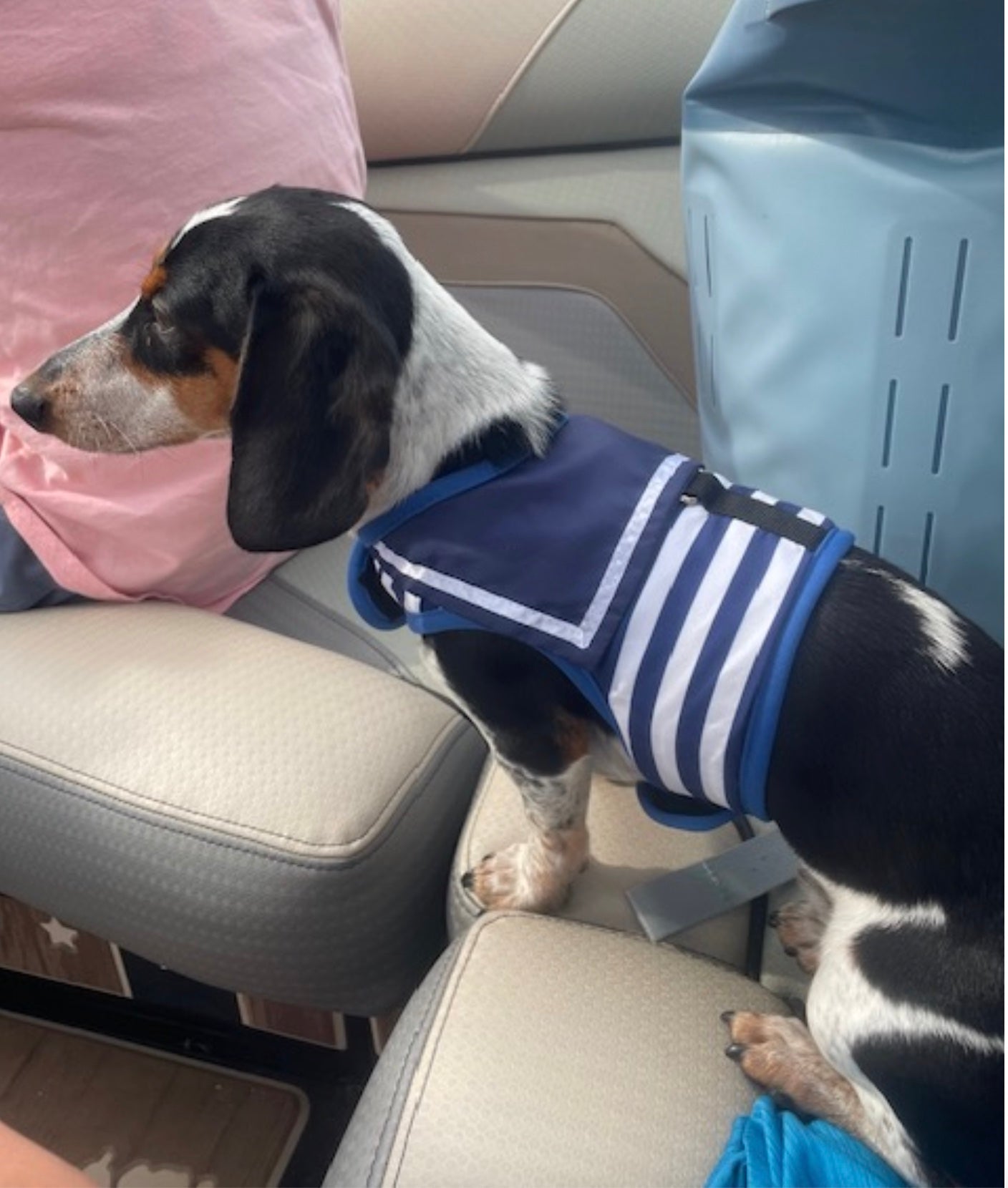 Sailor Harness & Leash