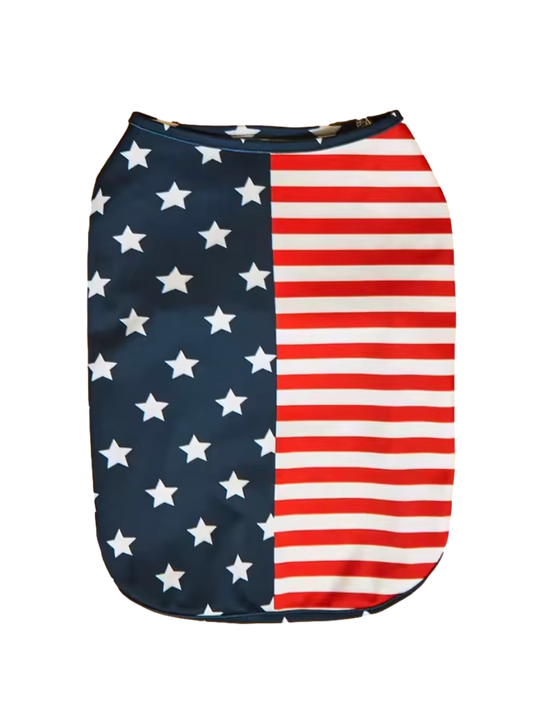 Stars & Stripes Tee