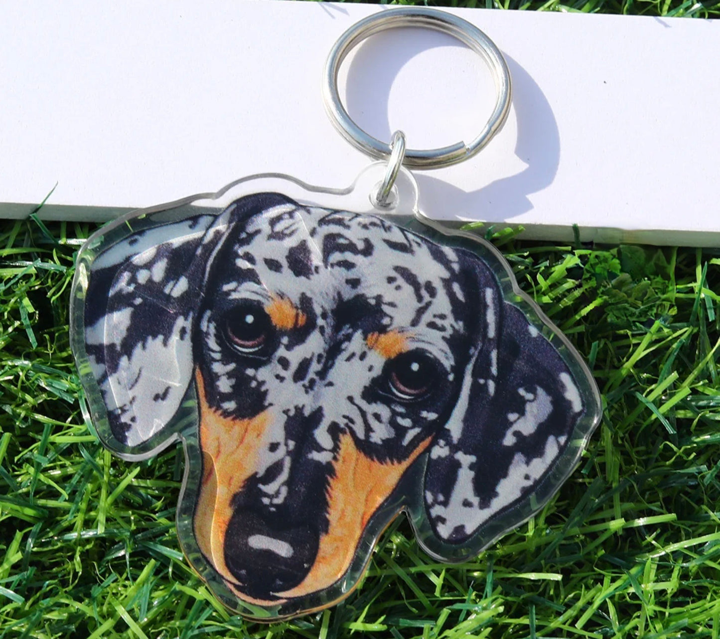 Acrylic Dachshund Key Chain