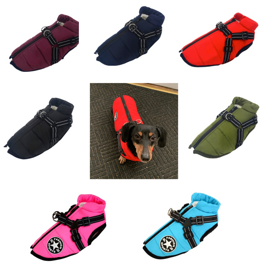 Water Resistant Harness Jacket