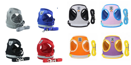 Houdini Weenie No-Escape Harness