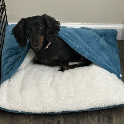 Dachshund Dream Bed