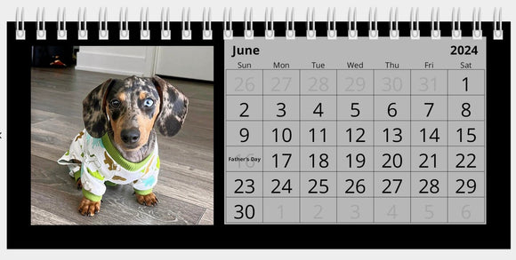2024 Dachshunds in Pajamas Desk Calendar