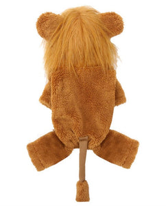 Lion Costume