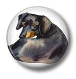 1.75" Round Dachshund Magnets