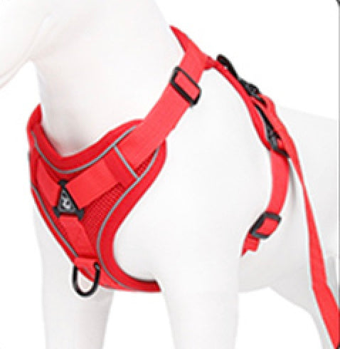 Dachshund collars hot sale and harnesses