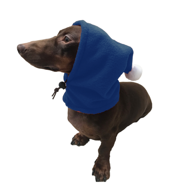 Blue Dogkoozie