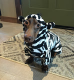 Zebra Costume