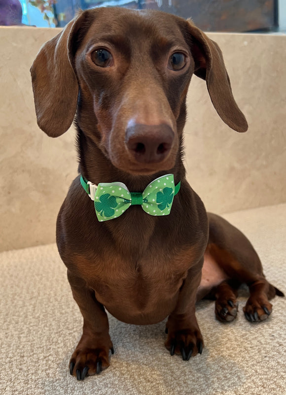 Lucky St Patrick's Day Bow Tie