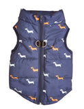 Dachshund Print Harness Jacket