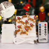Santa Dachshund String Lights