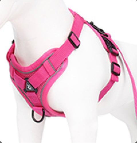 Dachshund harness and best sale leash