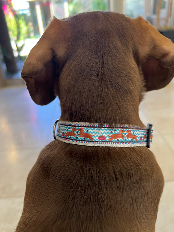 Spring Fling Dachshund Collar