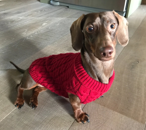Chewy V Sweater  Premium Sweater Warmth for Your Dachshund