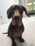 Valentine's Bow Tie