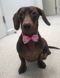 Valentine's Bow Tie