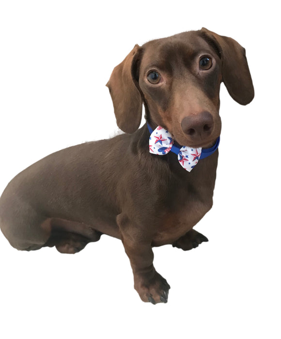 Summer Holiday Bow Tie