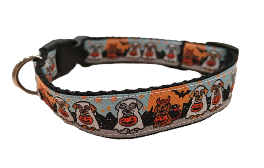 Dachshunds in Costumes SaucyDog Collar