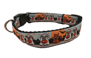 Dachshunds in Costumes SaucyDog Collar