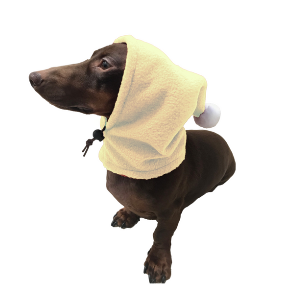 Celery Dogkoozie