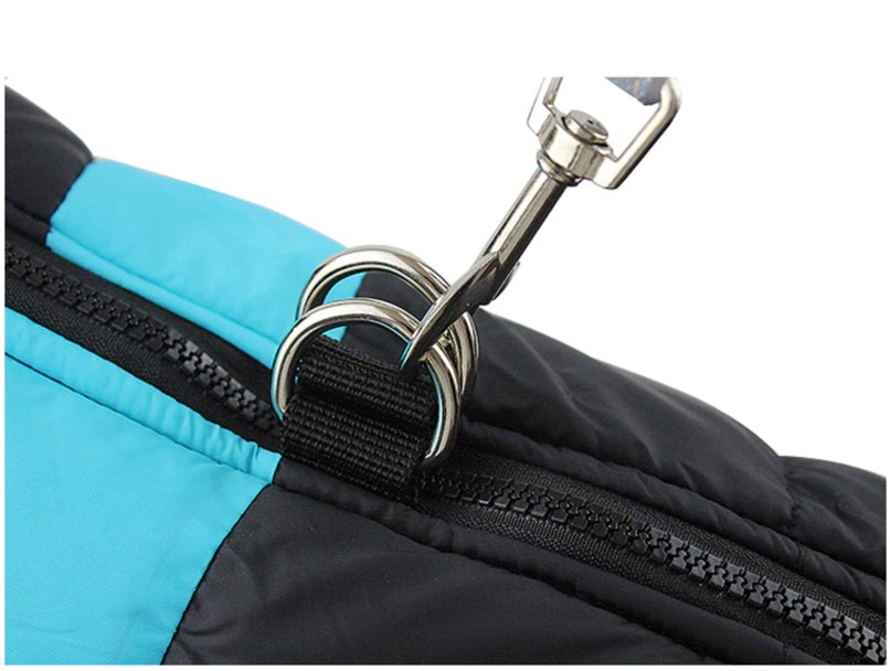 Basic Waterproof Colorblock Jacket (Final Sale)