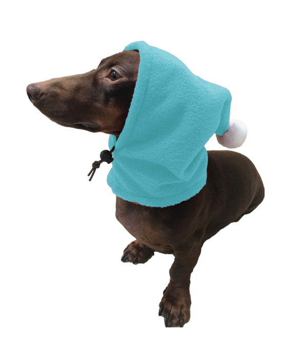 Aqua Blue Dogkoozie