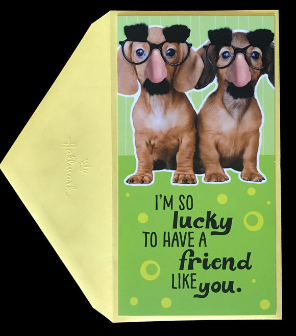 Crazy Friends Anytime Card