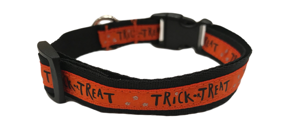 Trick-or-Treat SaucyDog Collar