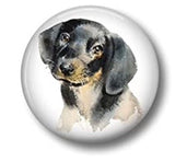 1.75" Round Dachshund Magnets