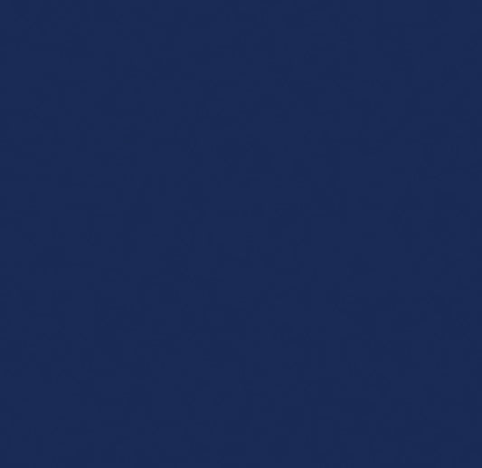 Navy Blue Pup Topper