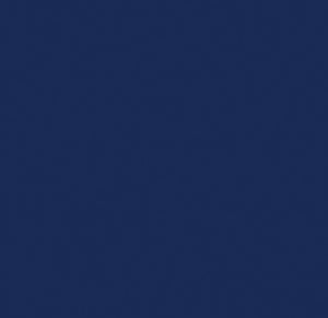 Navy Blue Dogkoozie
