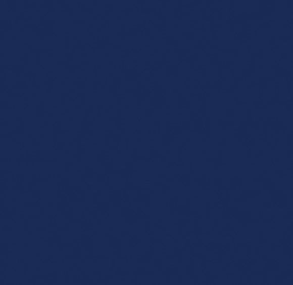 Navy Blue Dogkoozie