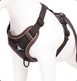 The Ultimate Dachshund Harness