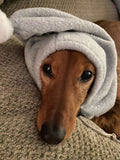 Heather Gray Dogkoozie