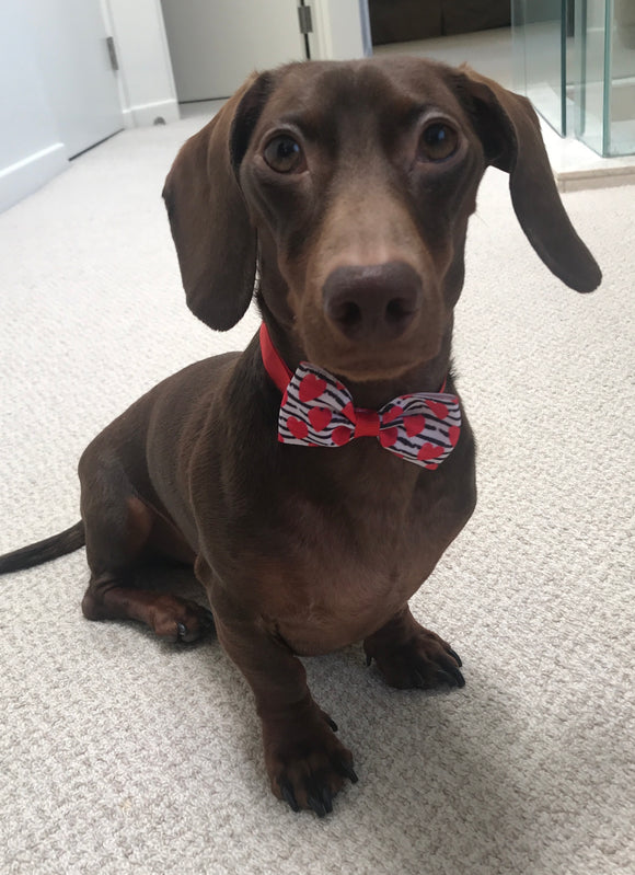 Valentine's Bow Tie