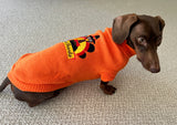 Give Thanks Dog Sweater