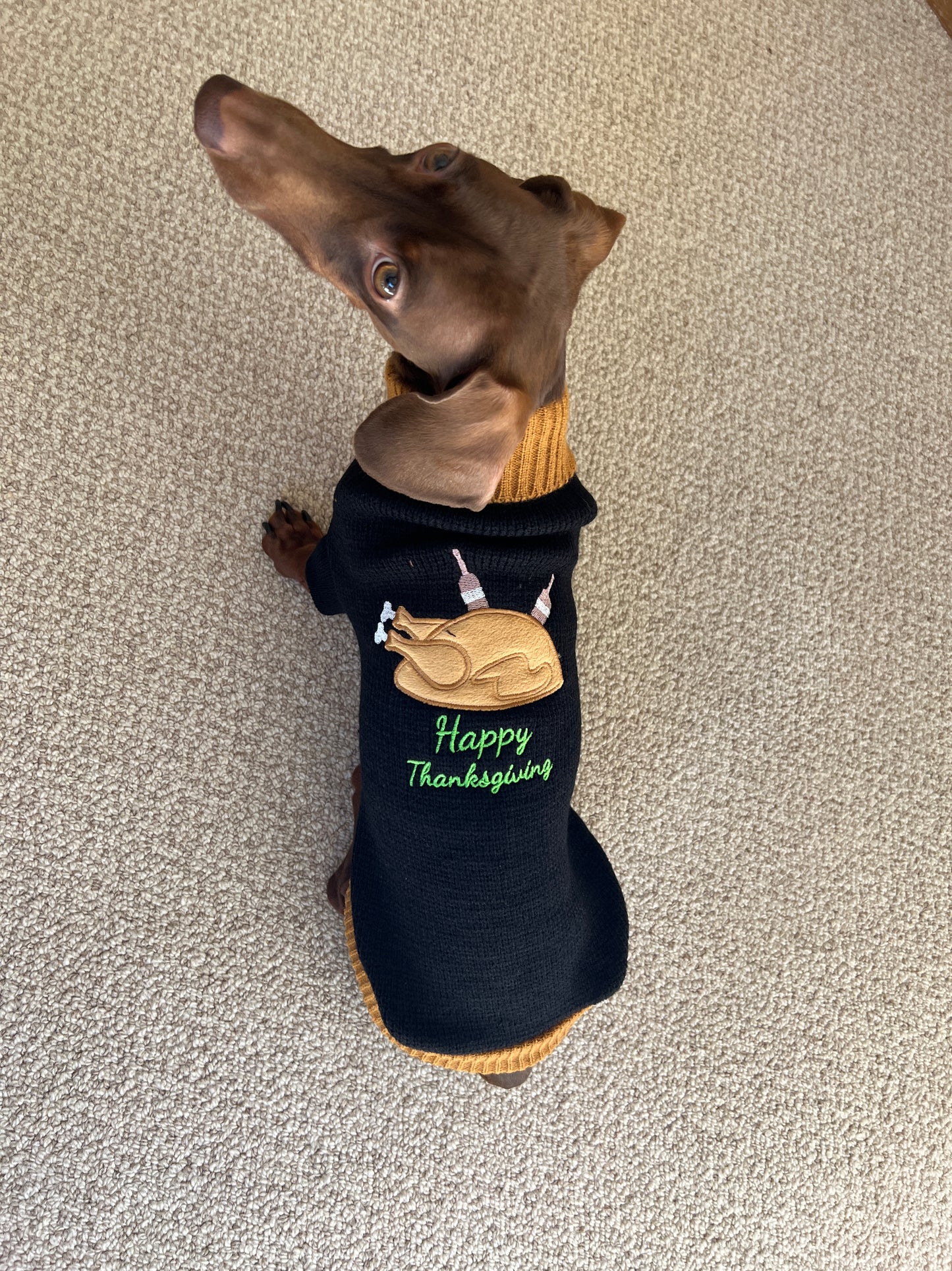 Thanksgiving Turkey Dog Sweater (Final Sale)