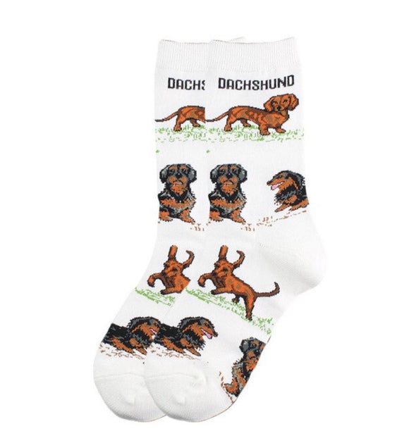 White Dachshund Socks