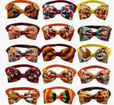 Fall Colors Bow Tie