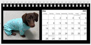 2023 Dachshunds in Pajamas Desk Calendar