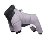 Waterproof Dachshund Snowsuit