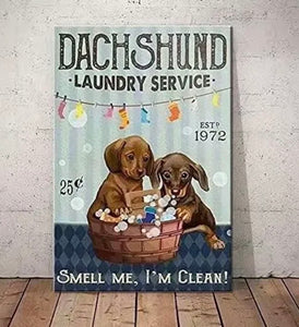 Dachshund Laundry Retro Metal Sign