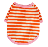 Summer Stripes T-Shirt