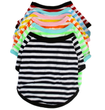 Summer Stripes T-Shirt